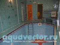 Скиммерный бассейн в мозаике Скиммерный бассейн в мозаике